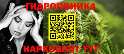 ECSTASY Камышлов
