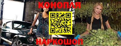 ECSTASY Камышлов