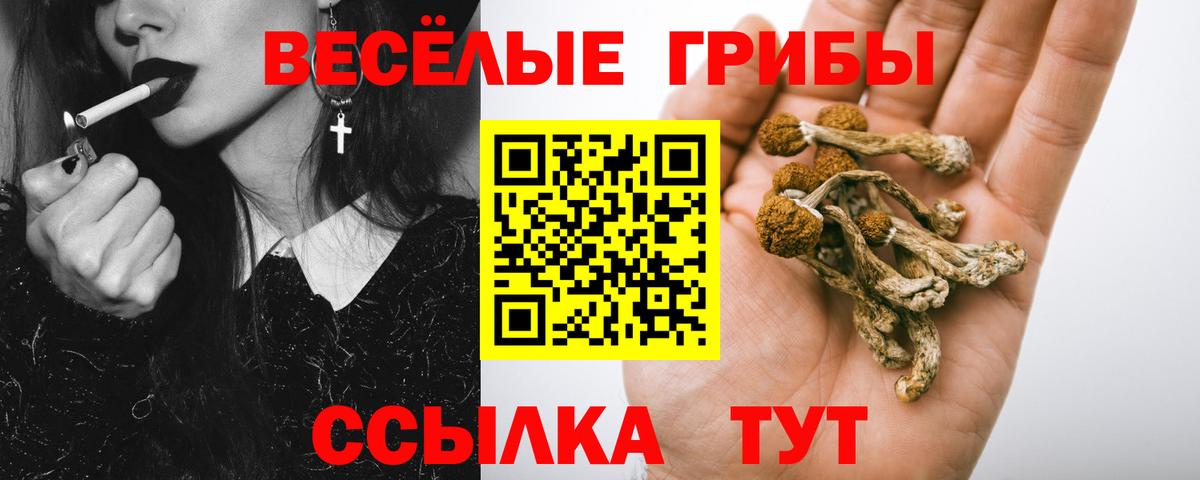 Псилоцибиновые грибы Cubensis Крымск